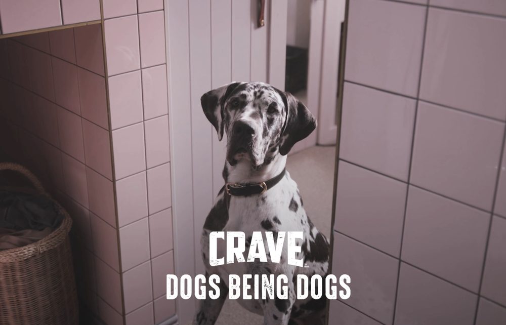 Crave — Watchful Eye