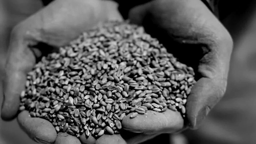 Made By Hand — Distiller